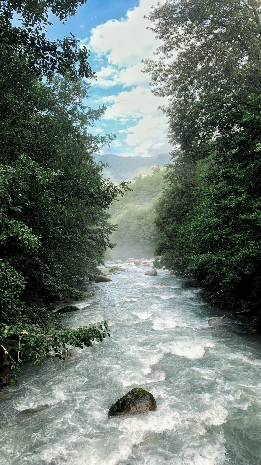A river winding through mist between forested banks